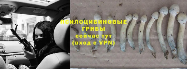 мет Алзамай