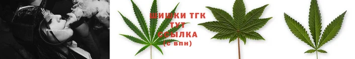 мет Алзамай