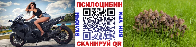 Псилоцибиновые грибы мицелий  ОМГ ОМГ сайт  Олонец 